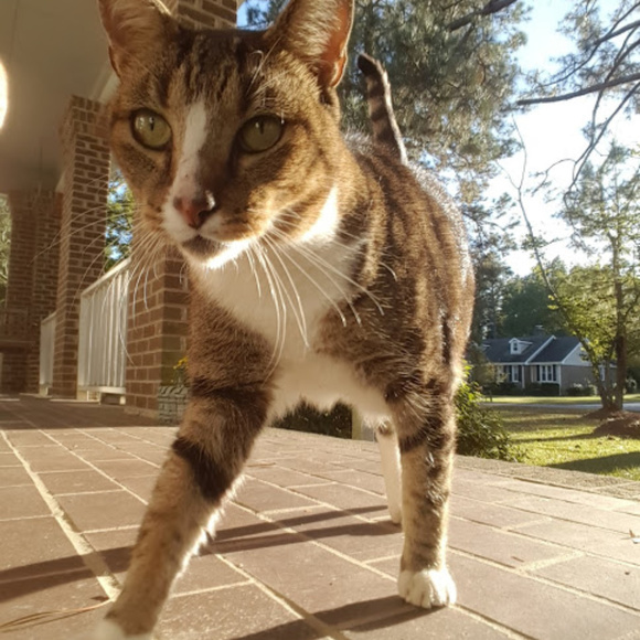 Meet your Posher, Deborah - Picture 4 of 7